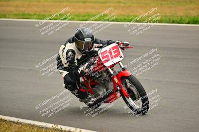 media/Apr-14-2024-Classic Track Day (Sun) [[4353457701]]/Race 8/